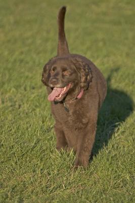 CRW_3875.jpg