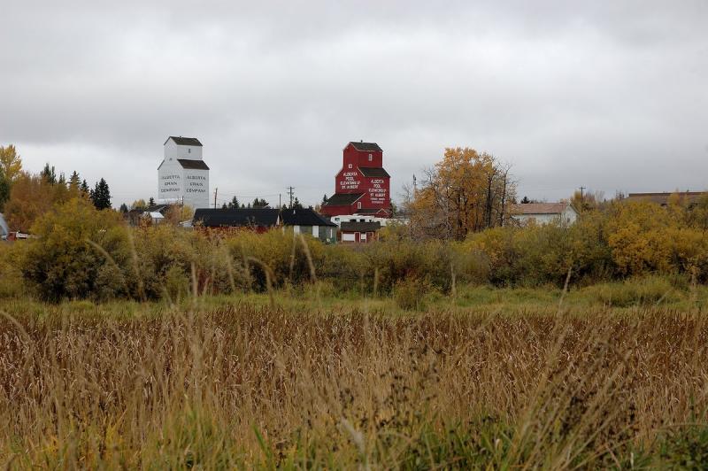 DSC_8333.jpg