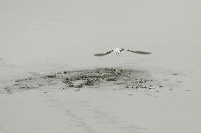 DSC_6827.jpg