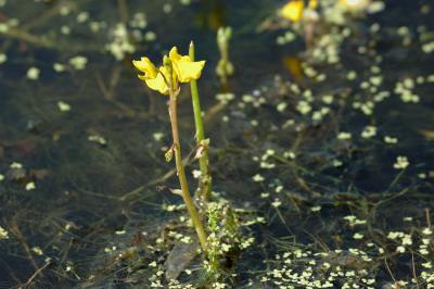 PC-DSC_7241.jpg