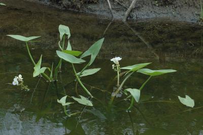 PC-DSC_7244.jpg