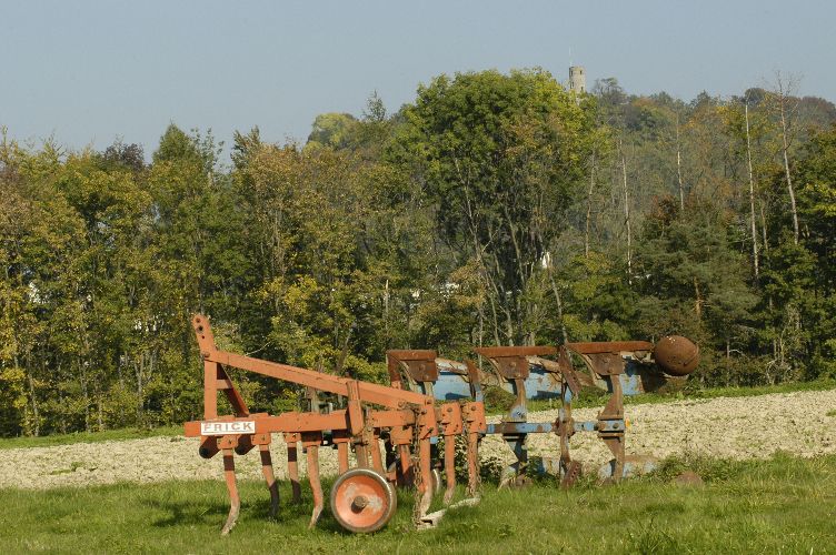 DSC_5748.JPG