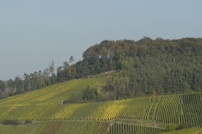 DSC_5940.JPG