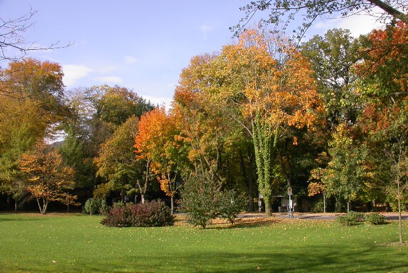 DSCN4660.JPG