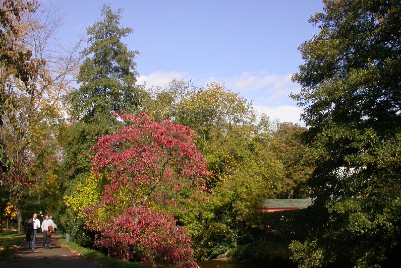 DSCN4661.JPG