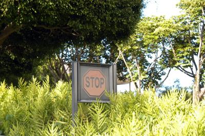 Jungle Stop Sign