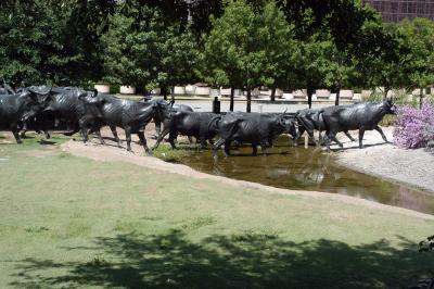 Pioneer Park Cattle Drive