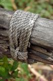 Lashing