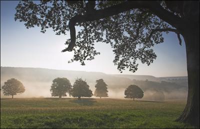 18th Aug 05 Chatsworth Mist