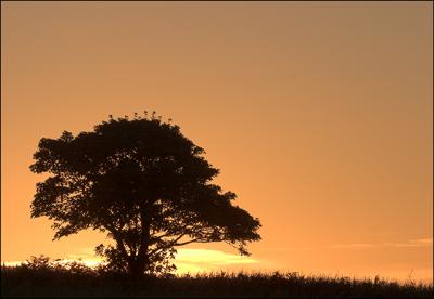 27th Aug 05 Cornish Dawn