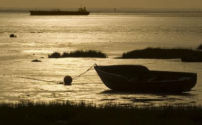 Humber Silhouette