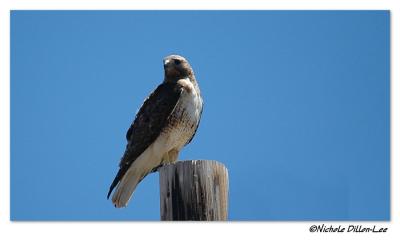 DSC_7757.JPG