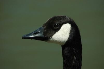 v3/02/526802/3/46586418.DSC_8599.jpg