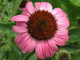 P7171021Web.jpg