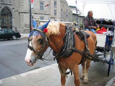 Denis & His Horse (non-ass view).jpg
