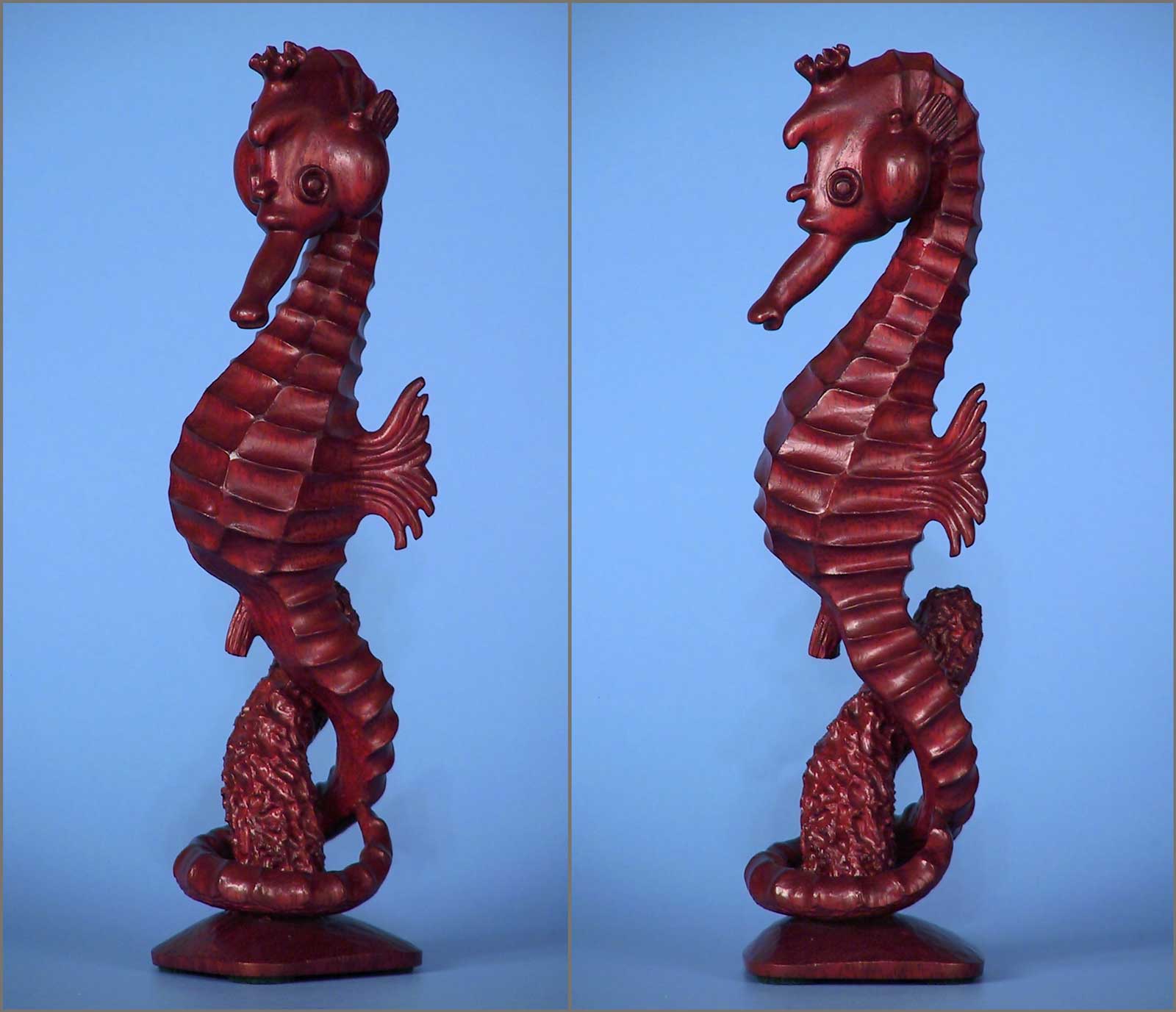 Hippocampus