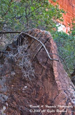 Upper Emerald Pool 002.jpg