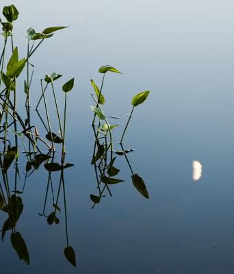 At sunset, 1