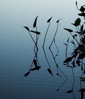 At sunset - 2