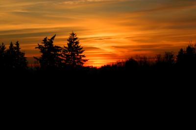 165_6501.JPG
