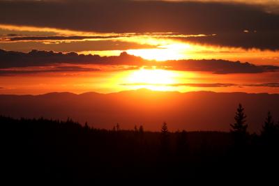 IMG_0235.JPG