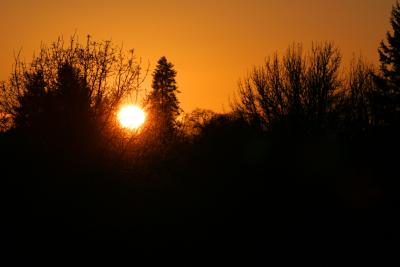 IMG_2223.JPG