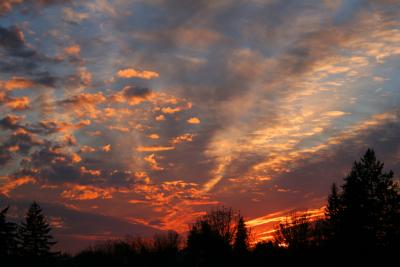 IMG_2440.JPG
