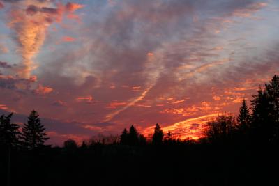 IMG_2466.JPG