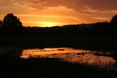 IMG_7498.JPG