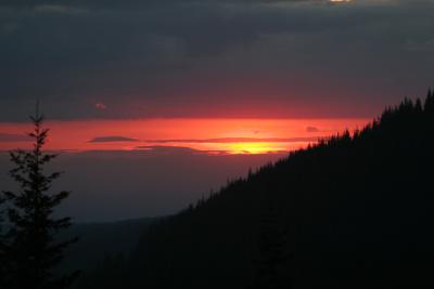 IMG_8477.JPG