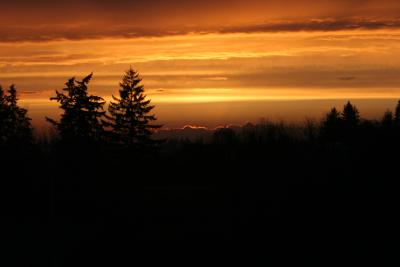 IMG_1036.JPG