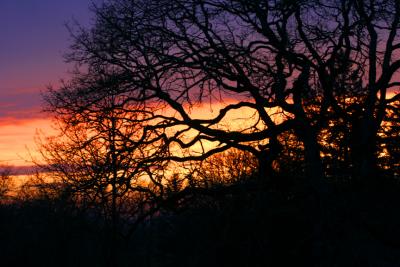 Sunsets