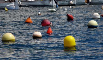 A few buoys!