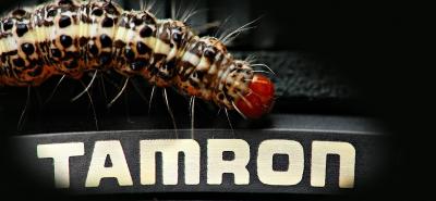 TamronCaterpilar_nc199DSC_0706FxShWeb.jpg