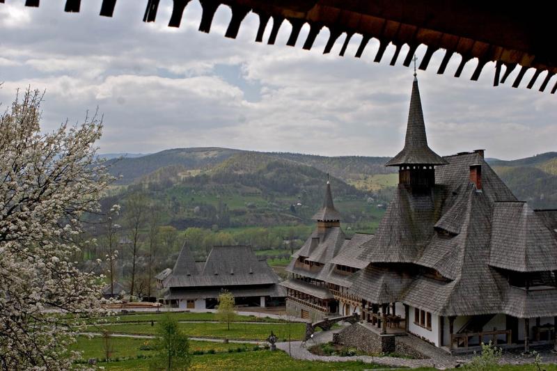 Birsana Monastery from Guest House