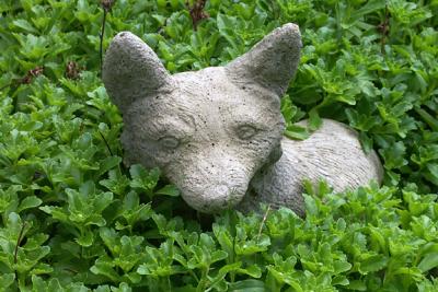 Pottery Fox, Hiding