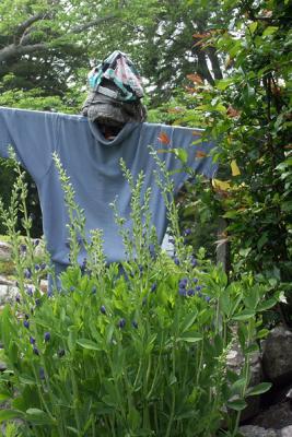 Scarecrow