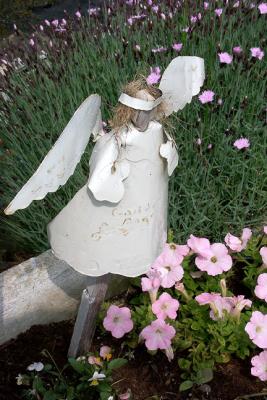 Angel and Petunias