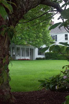 Lawn