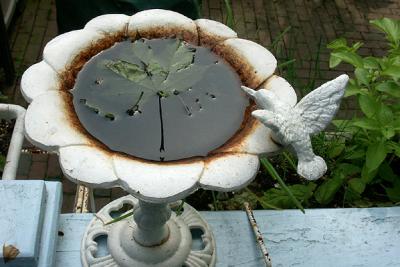 Small Birdbath