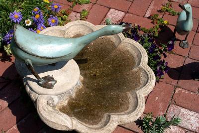 Ducks At Birdbath