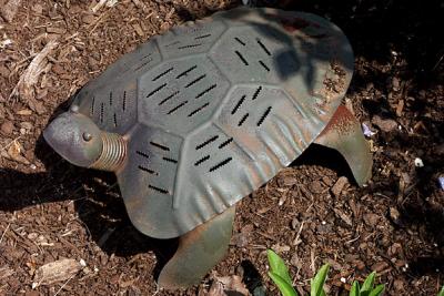 Steel Turtle