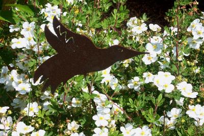 Steel Hummingbird