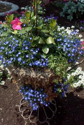 Moss Planter