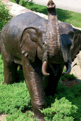 Bronze Bull Elephant