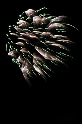 Fireworks Burst (M5402)