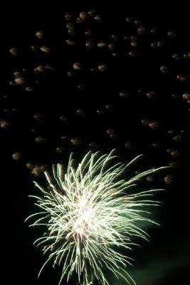 Fireworks Burst (M5403)
