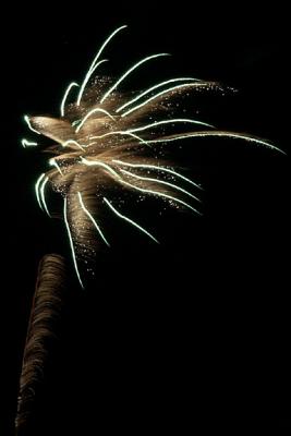 Fireworks Burst (M5406)
