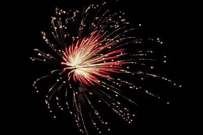 Fireworks Burst (M5411)