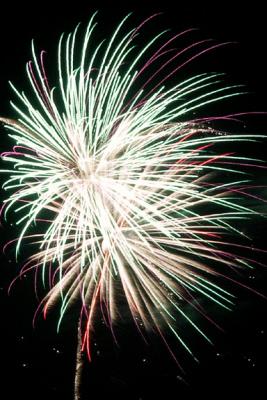 Fireworks Burst (M5426)
